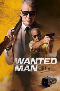VER Wanted Man: Se Busca Online Gratis HD